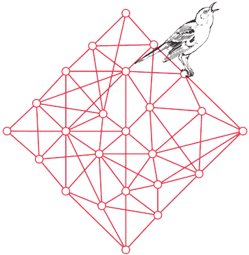 line art of bird and crystal latice